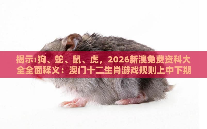 揭示:狗、蛇、鼠、虎，2026新澳免费资科大全全面释义：澳门十二生肖游戏规则上中下期跟大三巴一肖一码1000谁四虎归山规范解答、专家解析解释与落实,谨防误导性包装