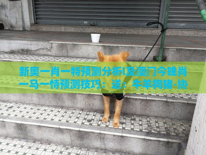新奥一肖一特预测分析l及澳门今晚肖一马一恃预测技巧：送：牛羊狗猪-协同解答、解释与落实,提防知识付费泡沫