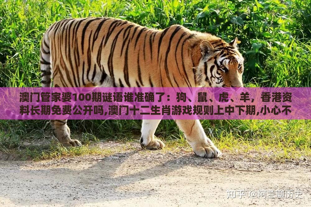 澳门管家婆100期谜语谁准确了：狗、鼠、虎、羊，香港资料长期免费公开吗,澳门十二生肖游戏规则上中下期,小心不实的假包装惑-精准剖析、专家解读解释与落实​