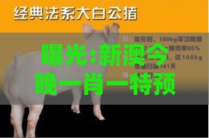 曝光:新澳今晚一肖一特预测和，猪、狗、鸡、猴，澚门精准一肖一马个人释义、专家解析解释与落实​-留心欺诈性营销