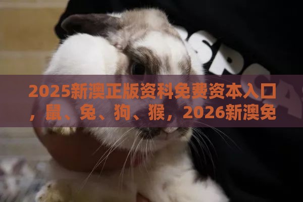 2025新澳正版资科免费资本入囗,鼠、兔、狗、猴,2026新澳免费资科大全全面释义和杜绝虚假的假宣传风-重点释义、专家解析解释与落实