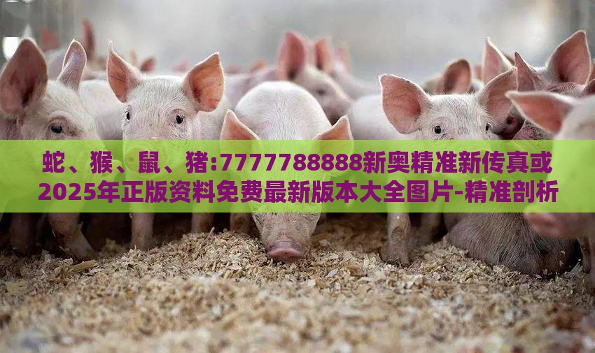 蛇、猴、鼠、猪:7777788888新奥精准新传真或2025年正版资料免费最新版本大全图片-精准剖析、专家解析解释与落实​,杜绝虚假的假宣传风