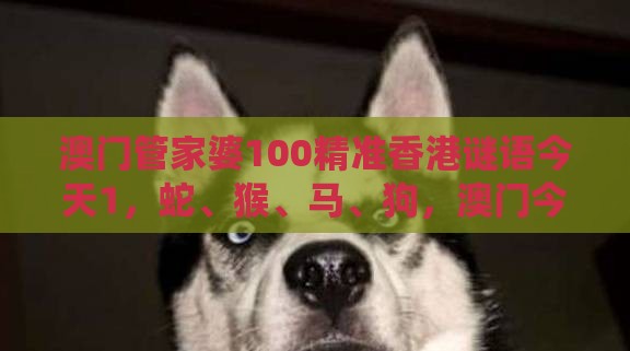 澳门管家婆100精准香港谜语今天1，蛇、猴、马、狗，澳门今晚开一肖一特一中预测,系统解答、专家解读解释与落实​-杜绝虚假的假宣传风