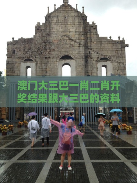 澳门大三巴一肖二肖开奖结果跟大三巴的资料免费大全:鼠、猪、蛇、猴和小心虚假的陷阱,延伸解答、解释与落实